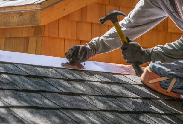 Best Roof Moss and Algae Removal  in Jamaica Beach, TX