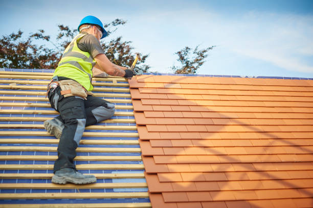 Best Skylight Installation and Repair  in Jamaica Beach, TX